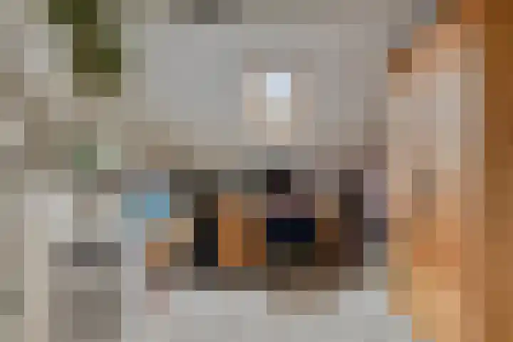 Koningstraat 1 Haaren thumbnail 30