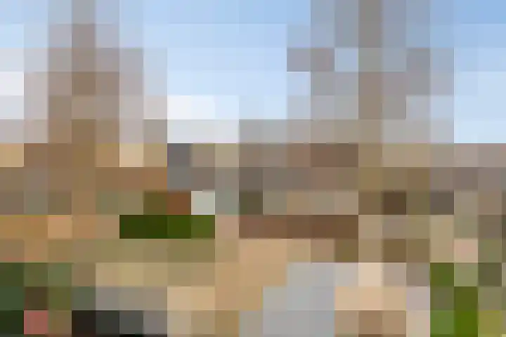 Koningstraat 1 Haaren thumbnail 35