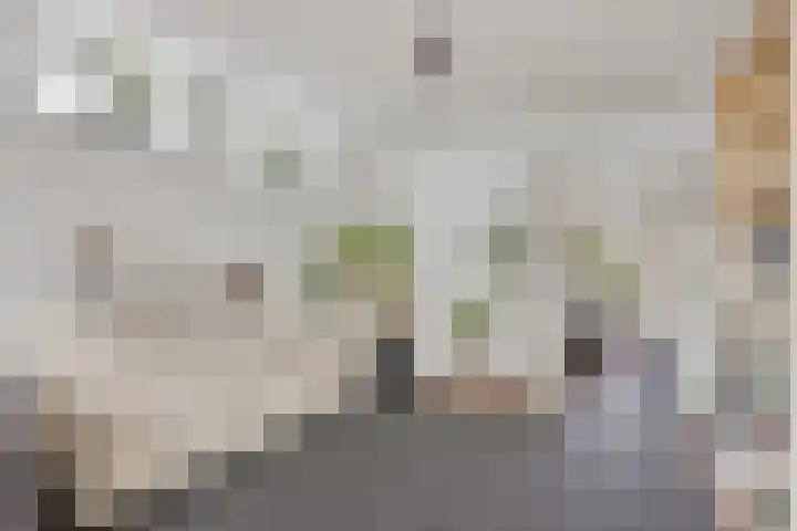 Koningstraat 1 Haaren thumbnail 9