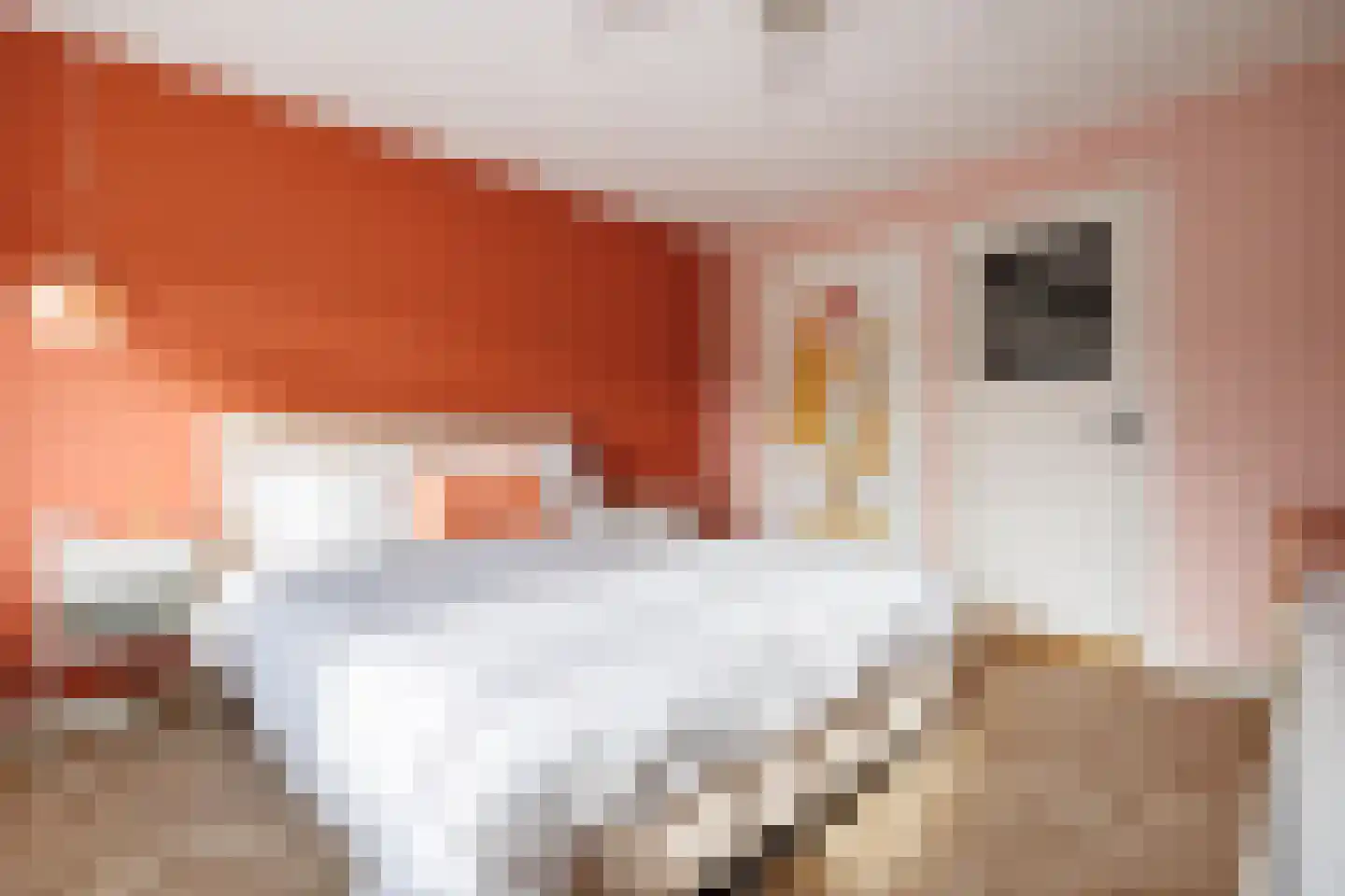 Koningstraat 10 Beuningen Gld thumbnail 46