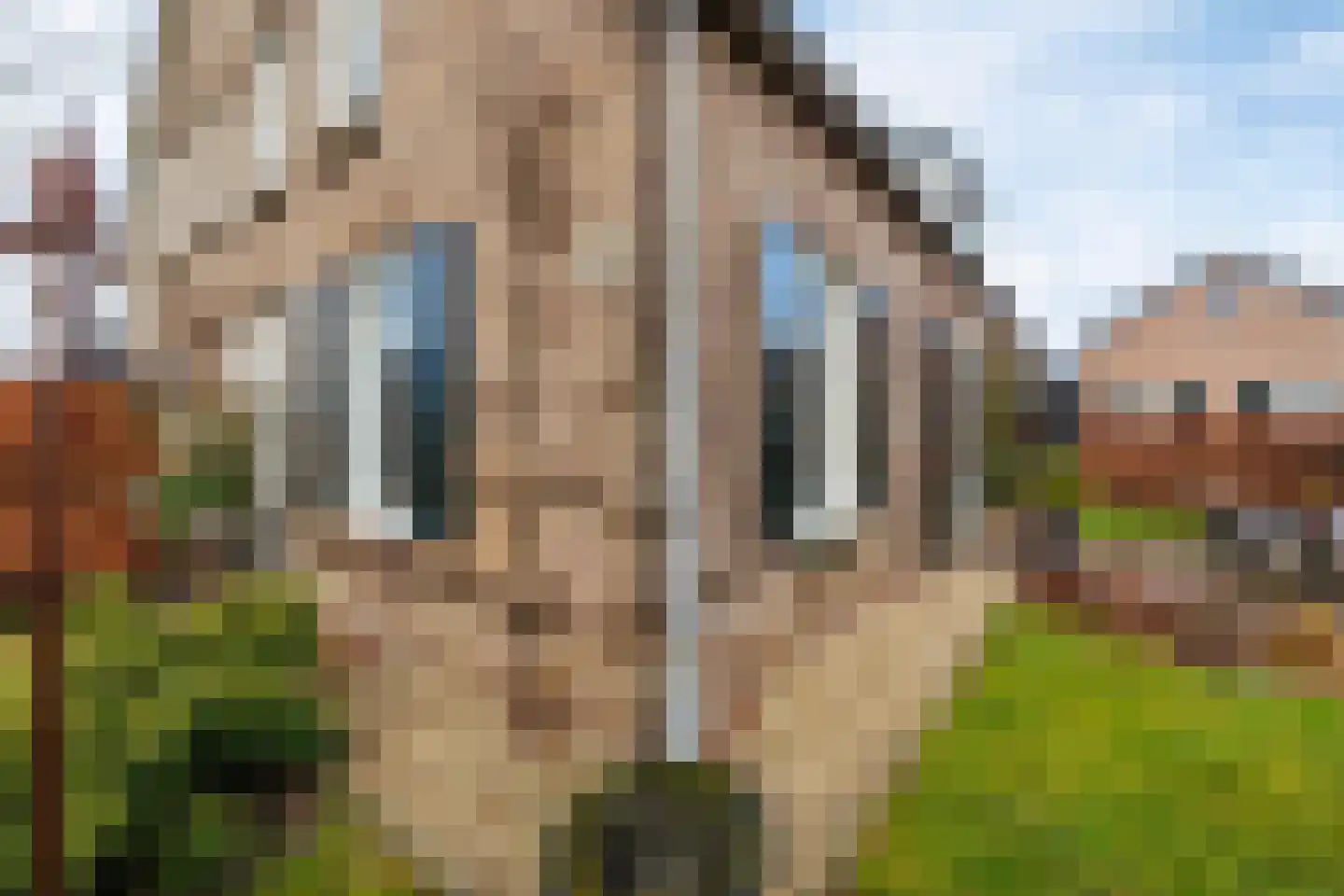 Koningstraat 10 Beuningen Gld thumbnail 70
