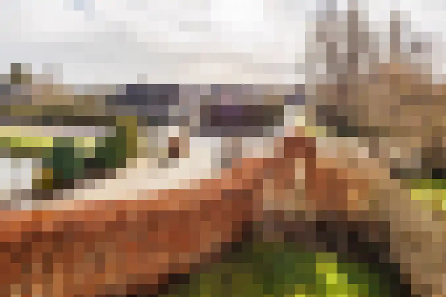 Koningstraat 10 Beuningen Gld thumbnail 88