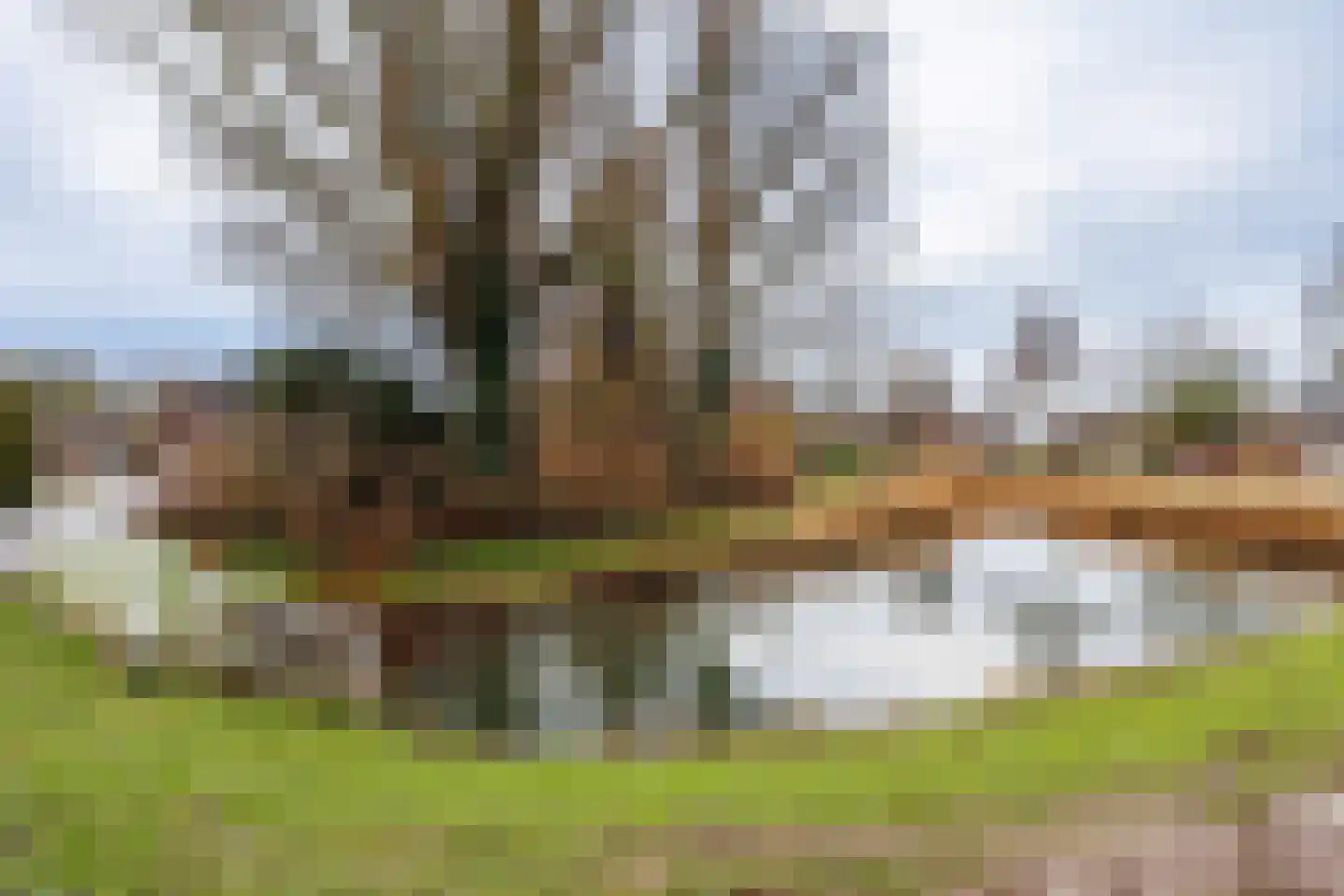 Koningstraat 10 Beuningen Gld thumbnail 90
