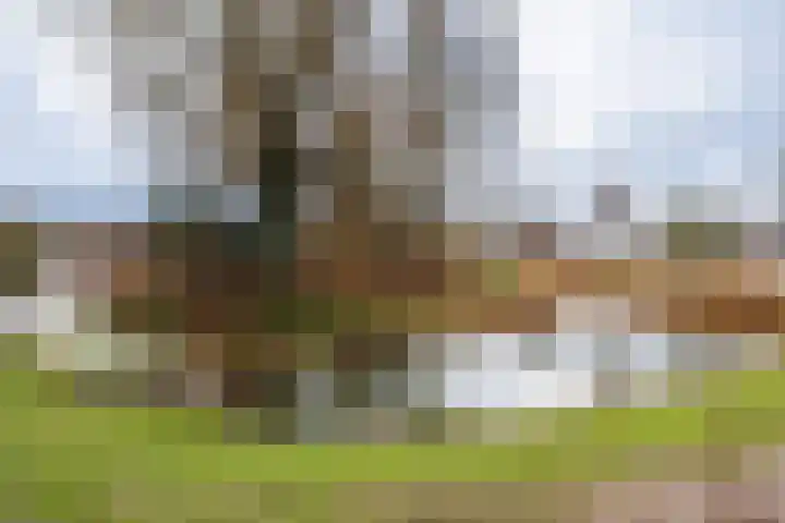 Koningstraat 10 Beuningen Gld thumbnail 89