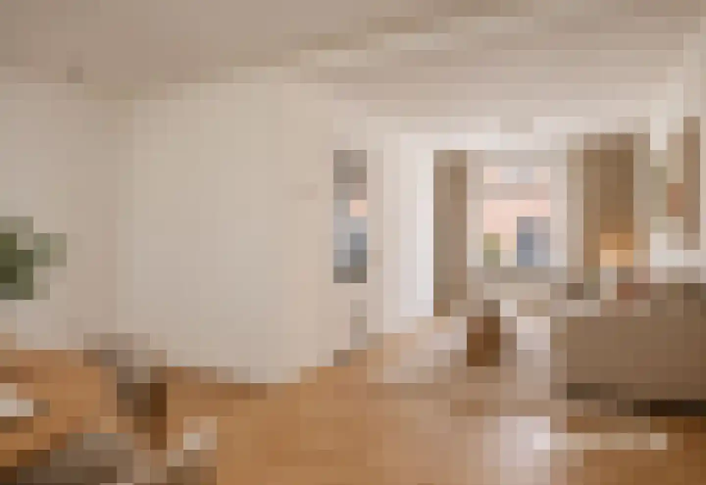 Koningstraat 101 Beverwijk thumbnail 5
