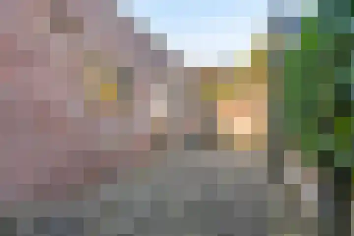 Koningstraat 11 a Appingedam thumbnail 34