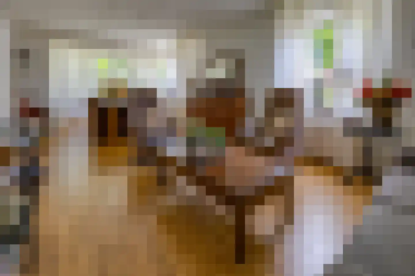 Koningstraat 115 Ter Apel thumbnail 12
