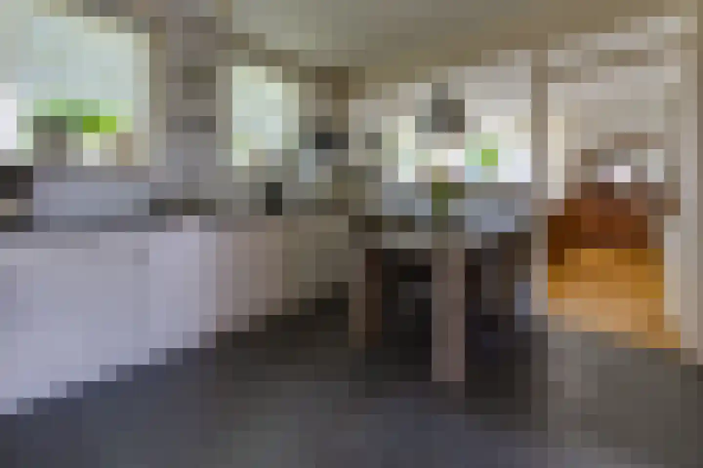 Koningstraat 115 Ter Apel thumbnail 16