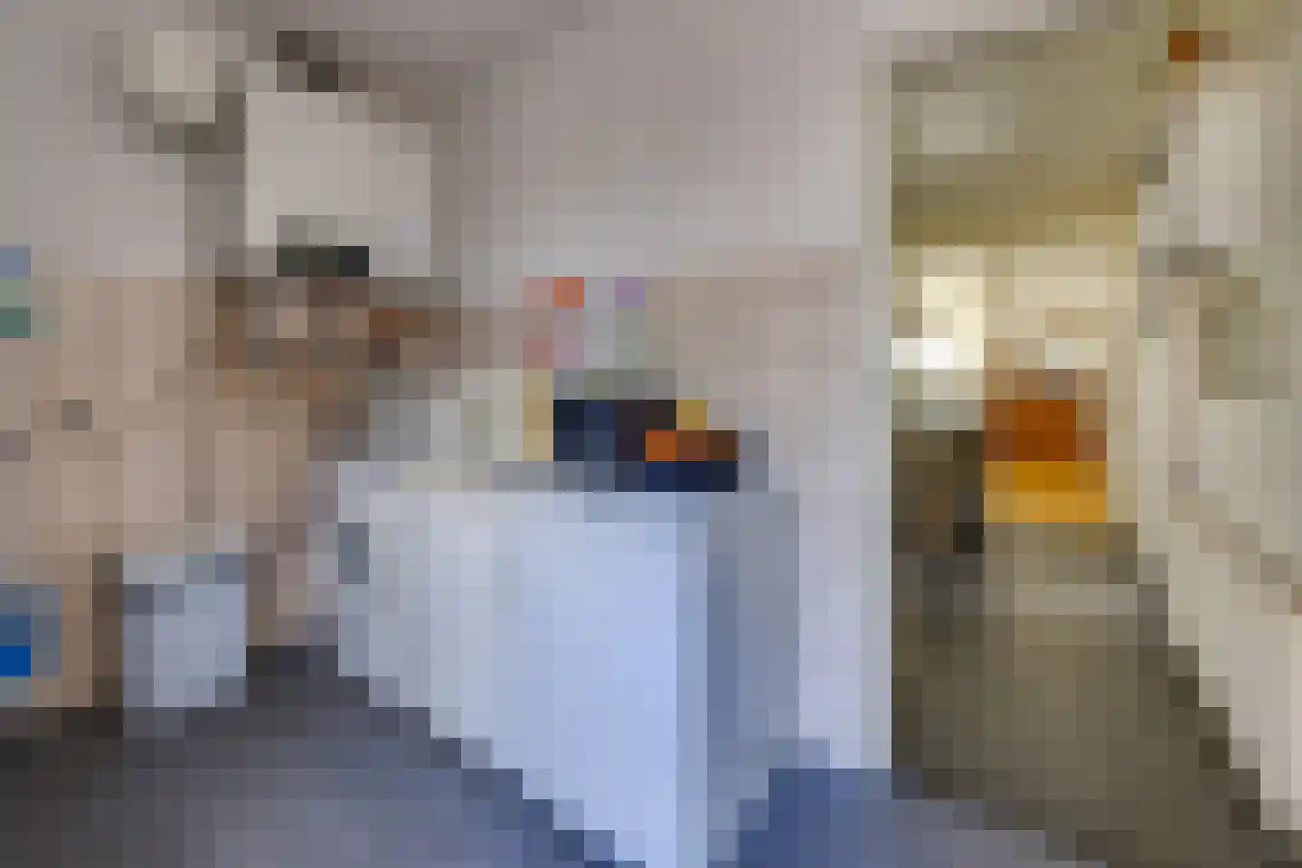 Koningstraat 115 Ter Apel thumbnail 18