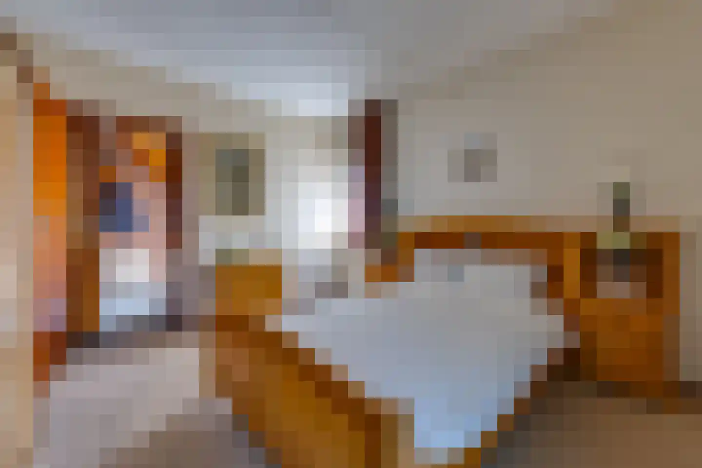 Koningstraat 115 Ter Apel thumbnail 23