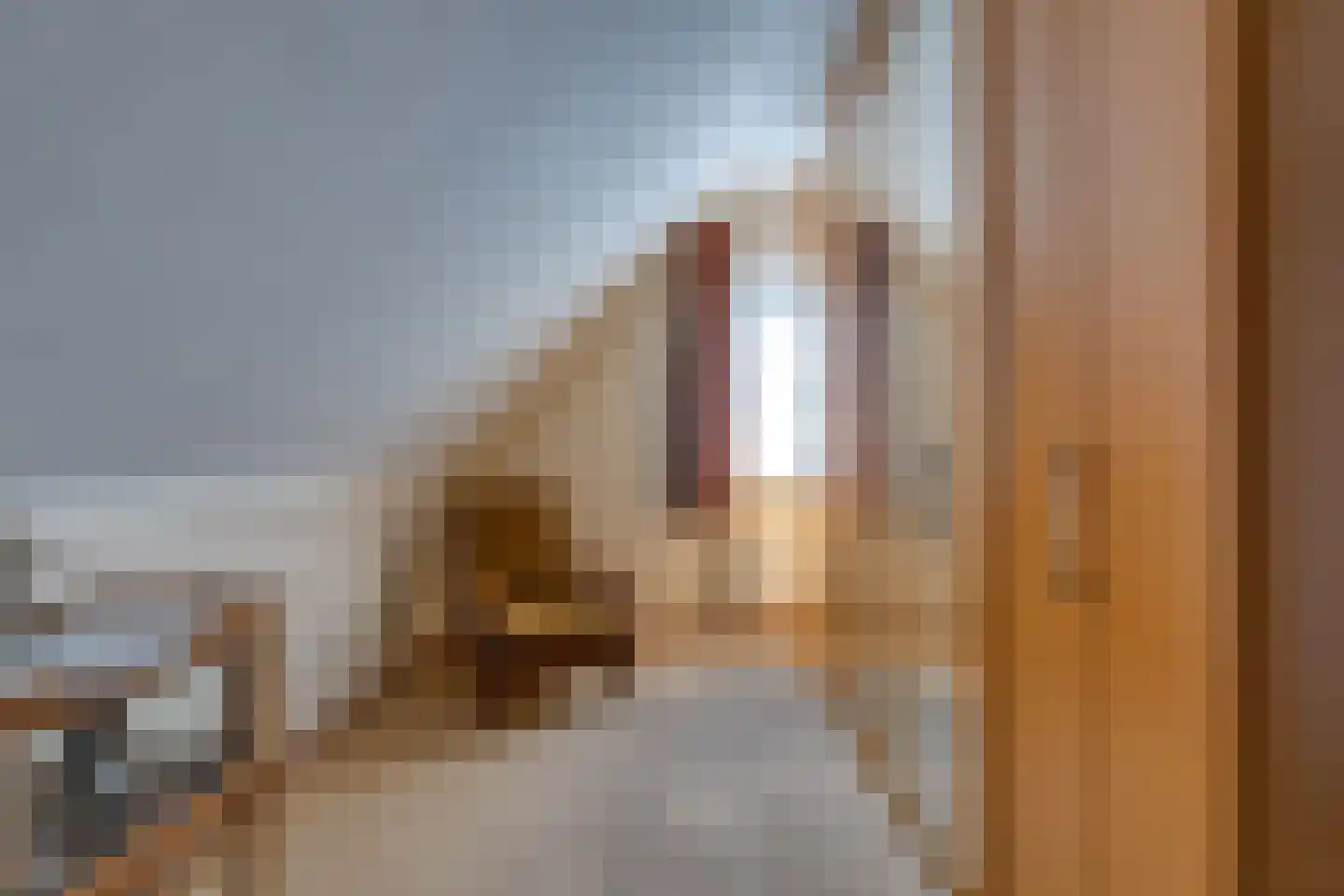 Koningstraat 115 Ter Apel thumbnail 35