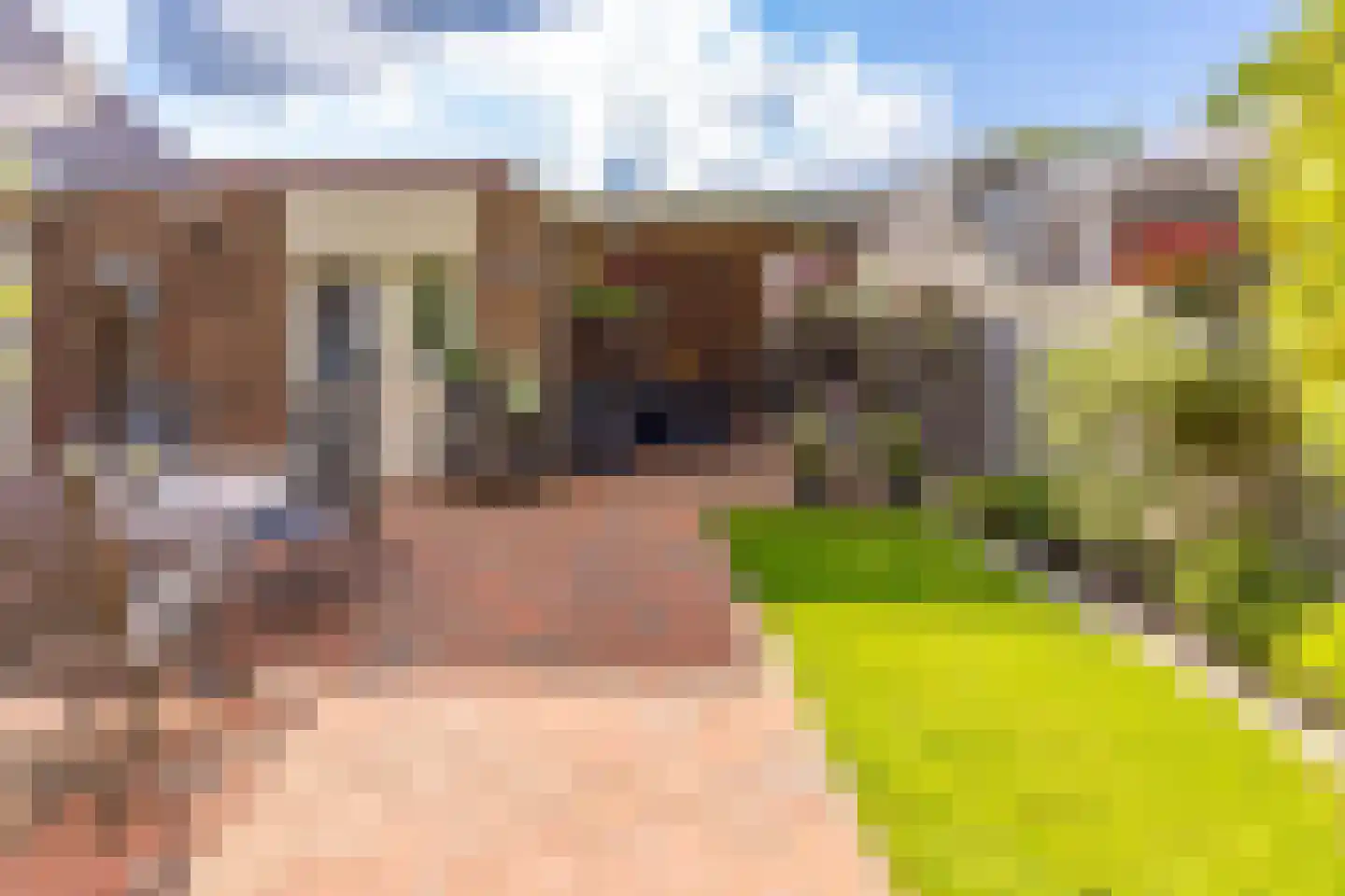 Koningstraat 115 Ter Apel thumbnail 39