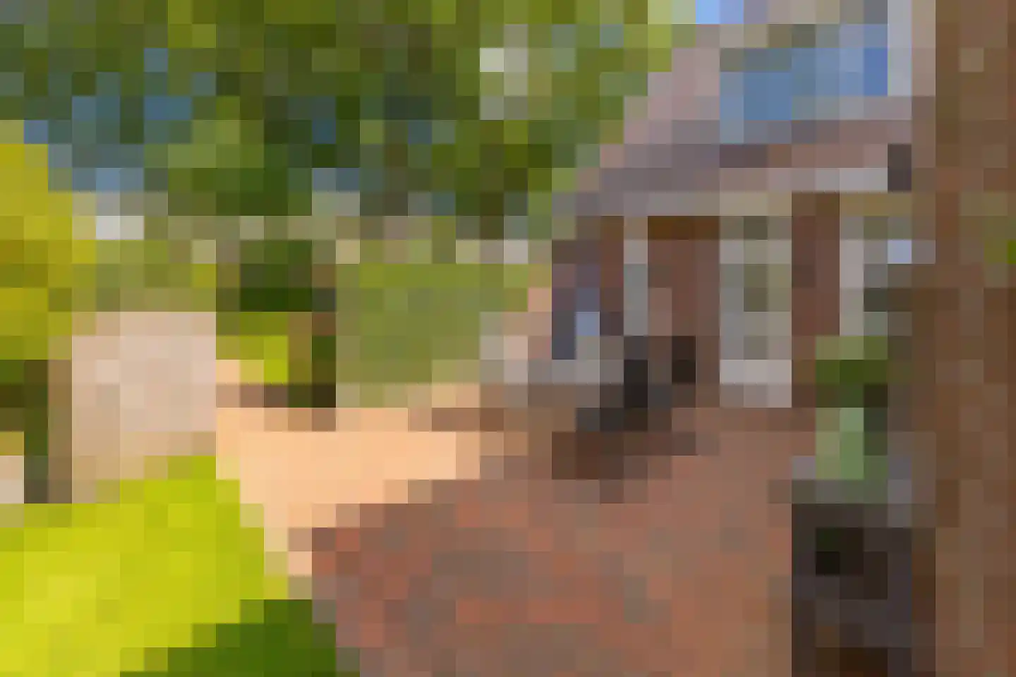 Koningstraat 115 Ter Apel thumbnail 40