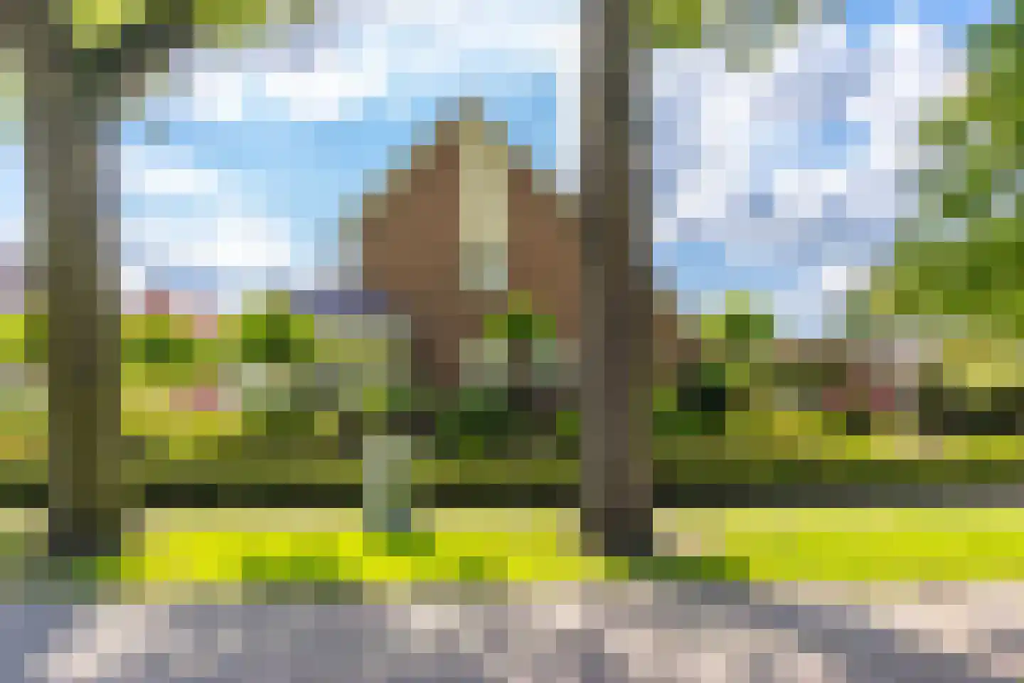 Koningstraat 115 Ter Apel thumbnail 8