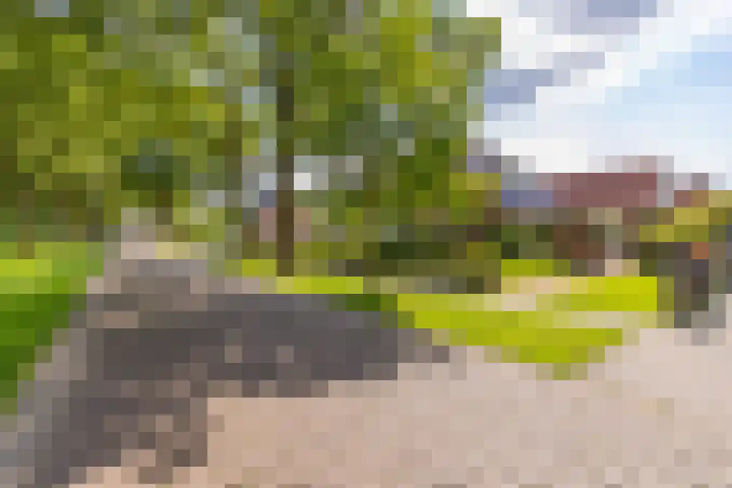 Koningstraat 115 Ter Apel thumbnail 9