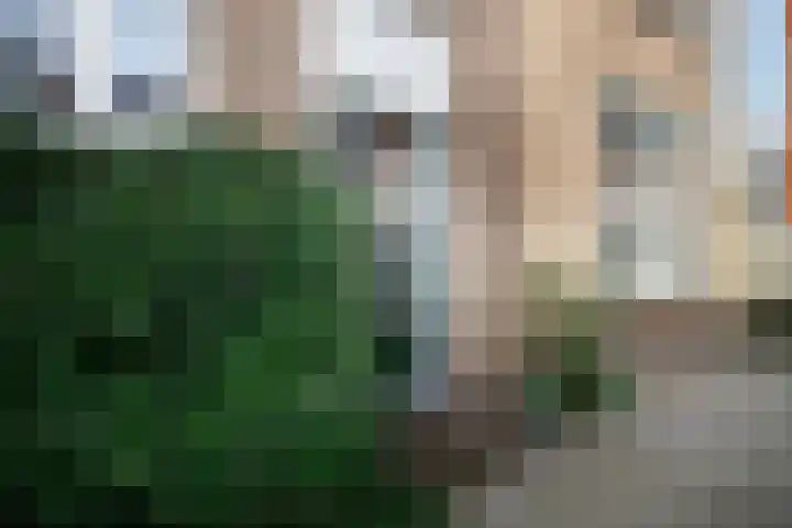 Koningstraat 127 A Beverwijk thumbnail 21