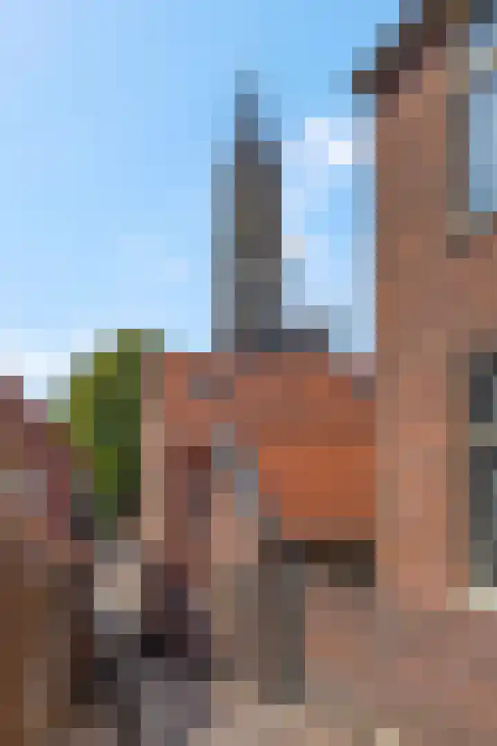 Koningstraat 14 A Rhenen thumbnail 48
