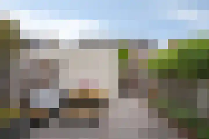 Koningstraat 16 Valkenswaard thumbnail 29