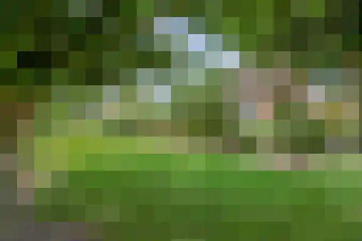 Koningstraat 17 Beuningen Gld thumbnail 5