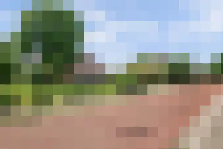 Koningstraat 17 Beuningen Gld thumbnail 6