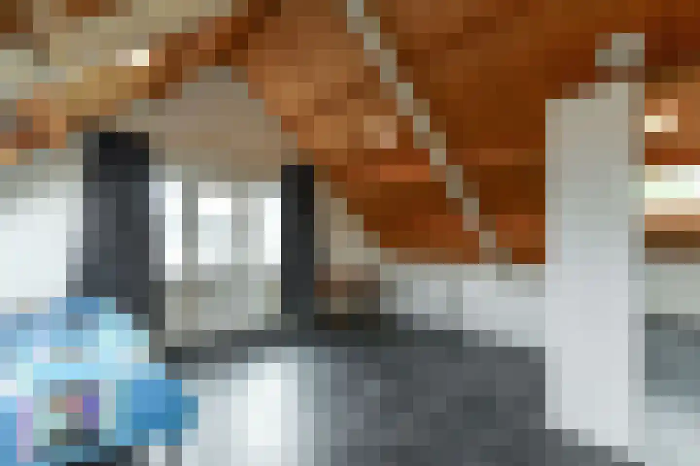 Koningstraat 17 Velp thumbnail 25