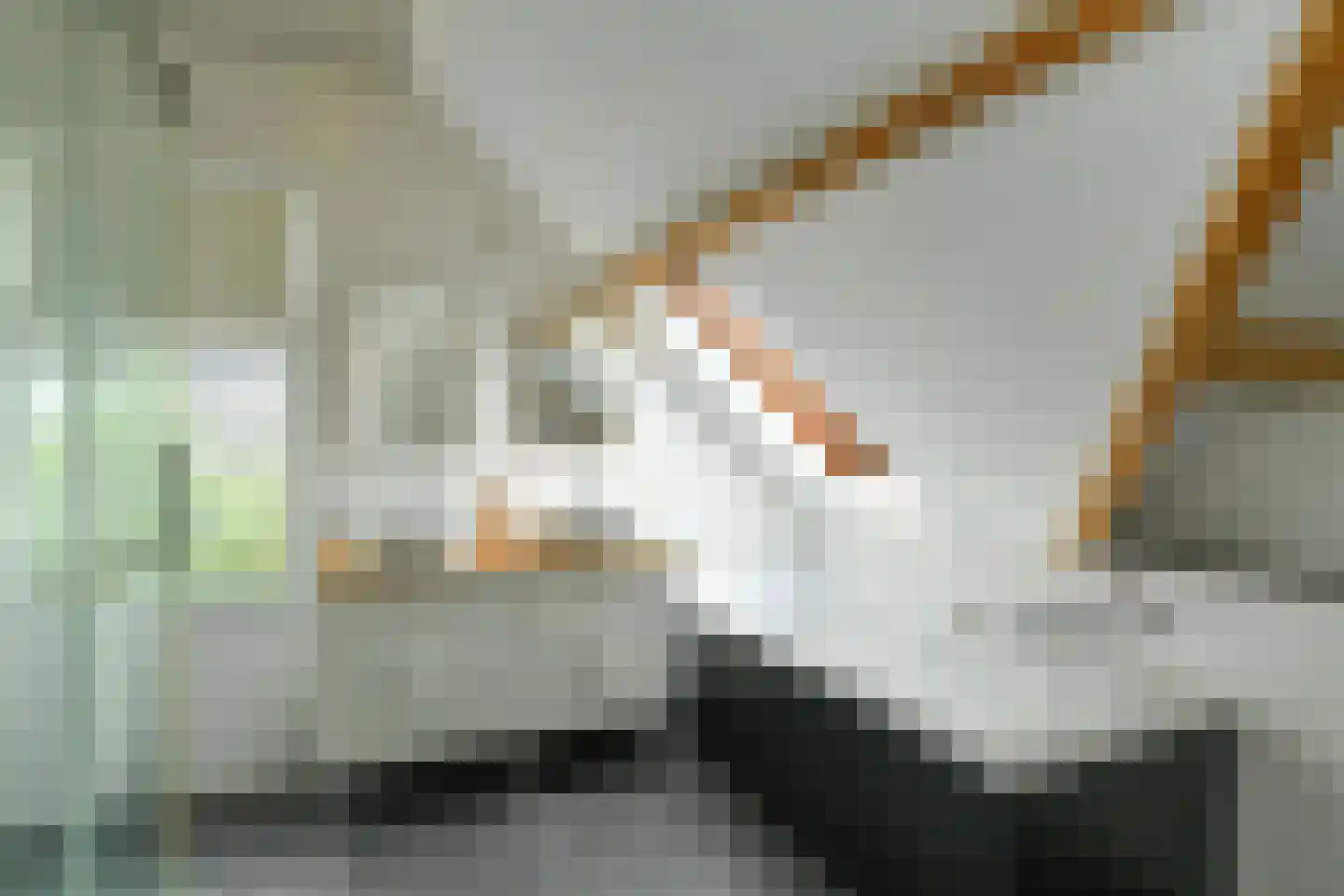 Koningstraat 17 Velp thumbnail 31