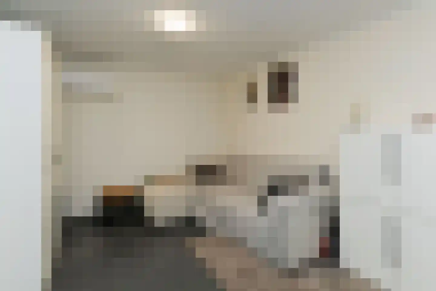 Koningstraat 17 Velp thumbnail 40