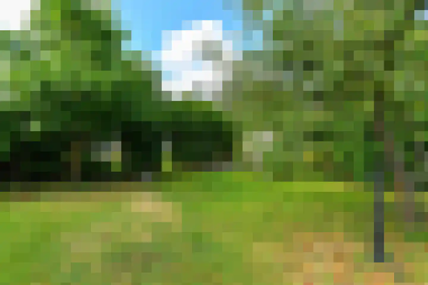 Koningstraat 17 Velp thumbnail 49