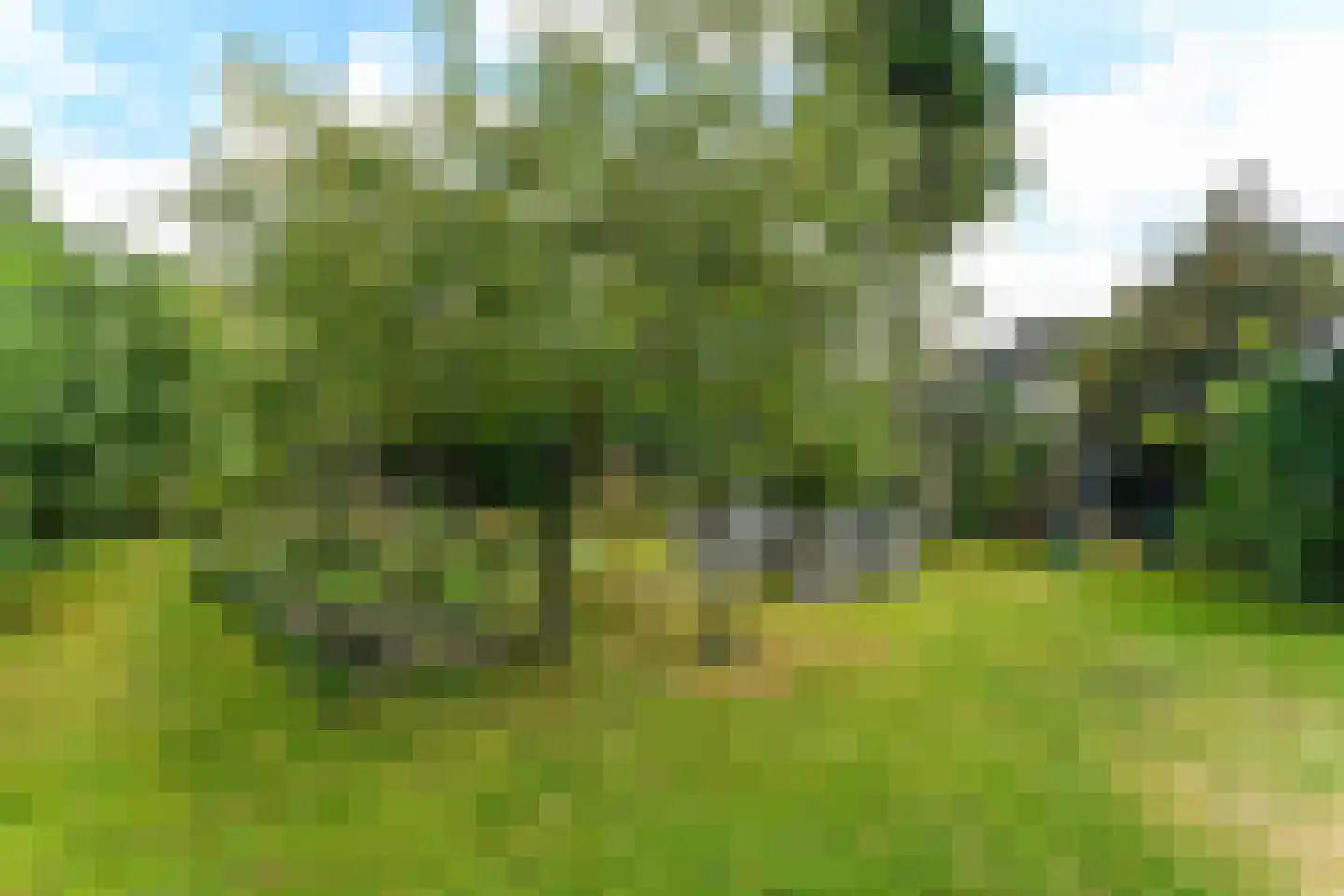 Koningstraat 17 Velp thumbnail 51