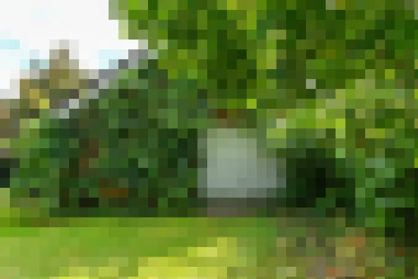 Koningstraat 17 Velp thumbnail 53