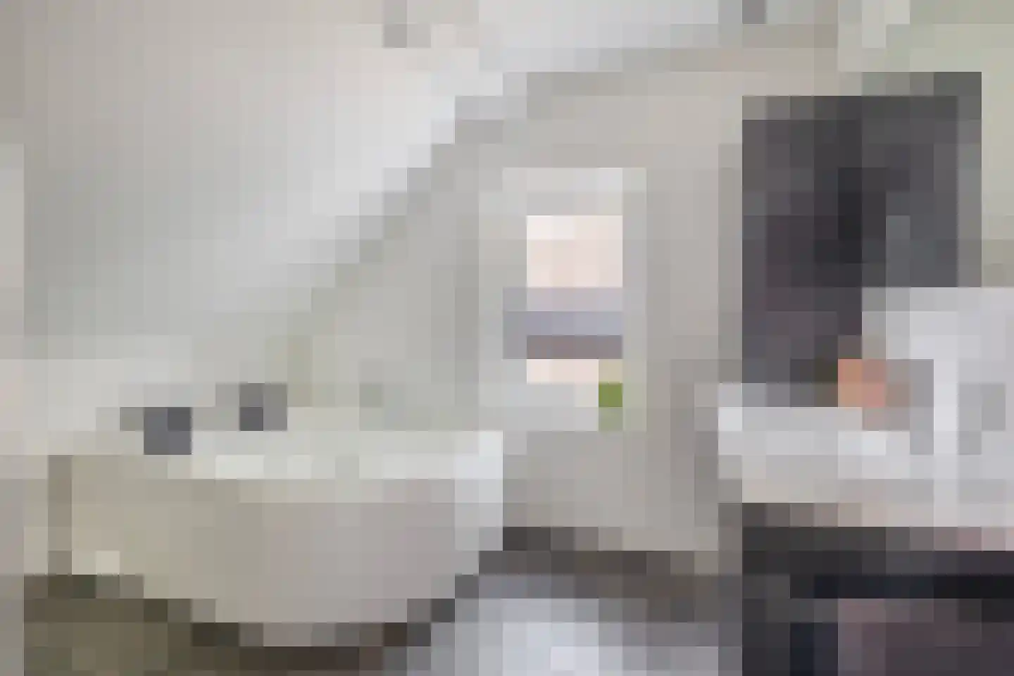 Koningstraat 19 Tegelen thumbnail 15
