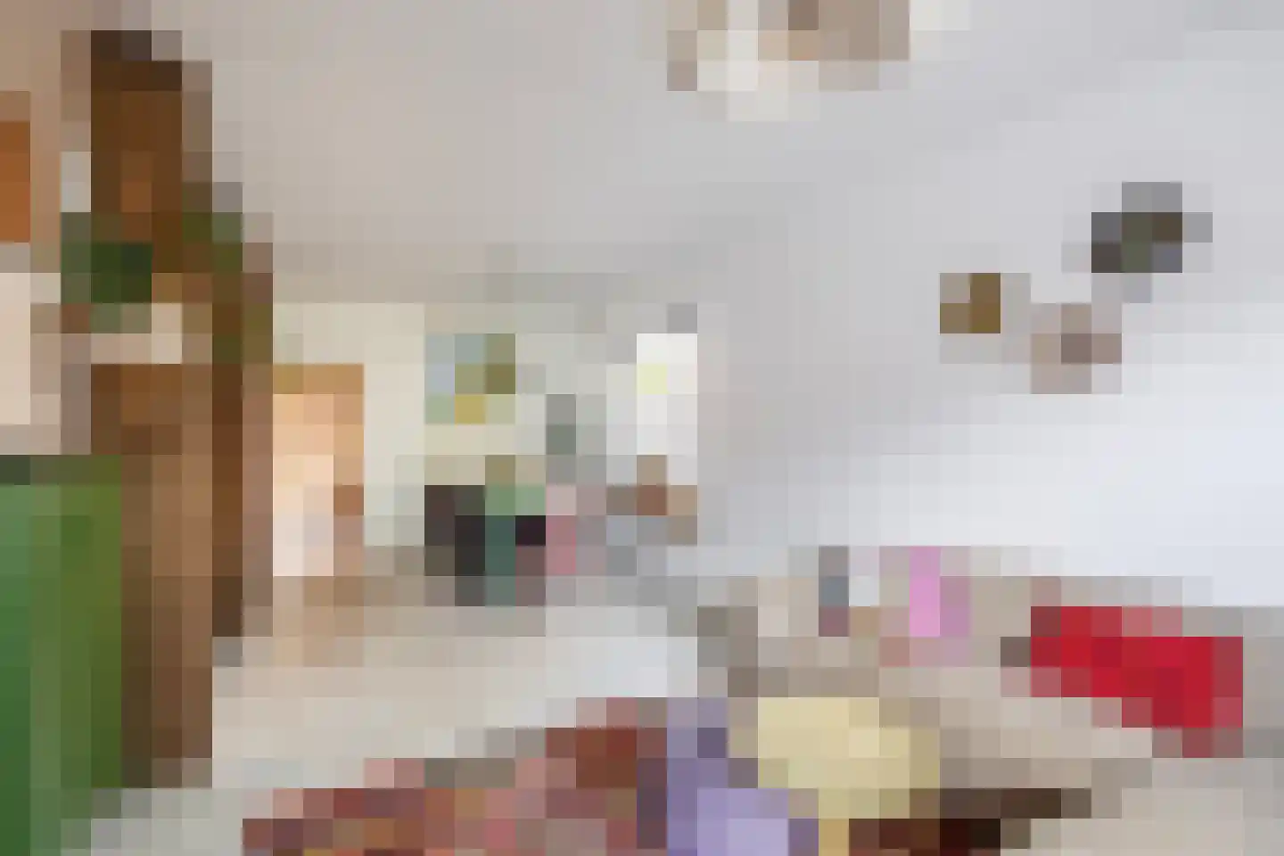 Koningstraat 19 Tegelen thumbnail 4