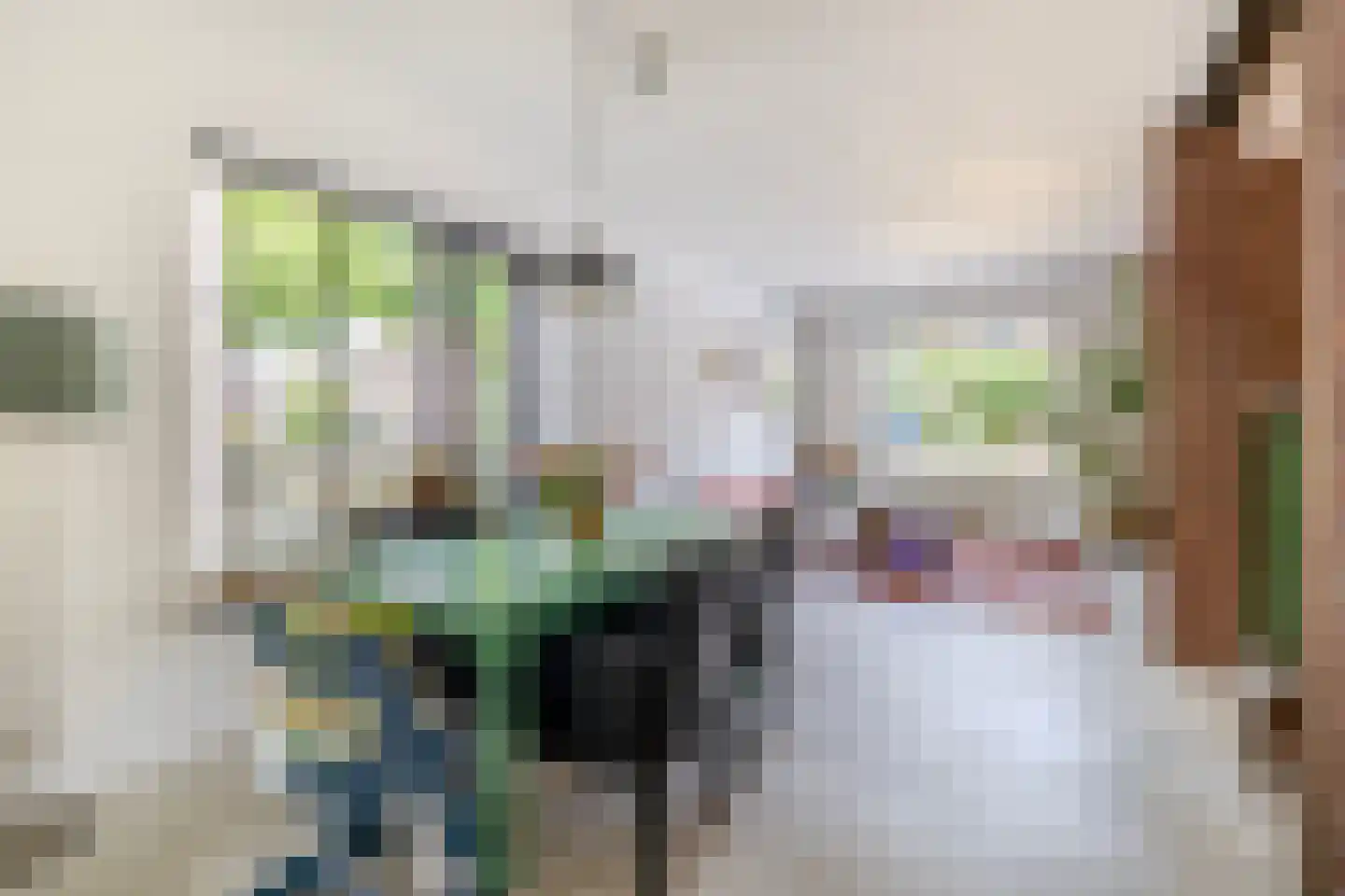 Koningstraat 19 Tegelen thumbnail 6