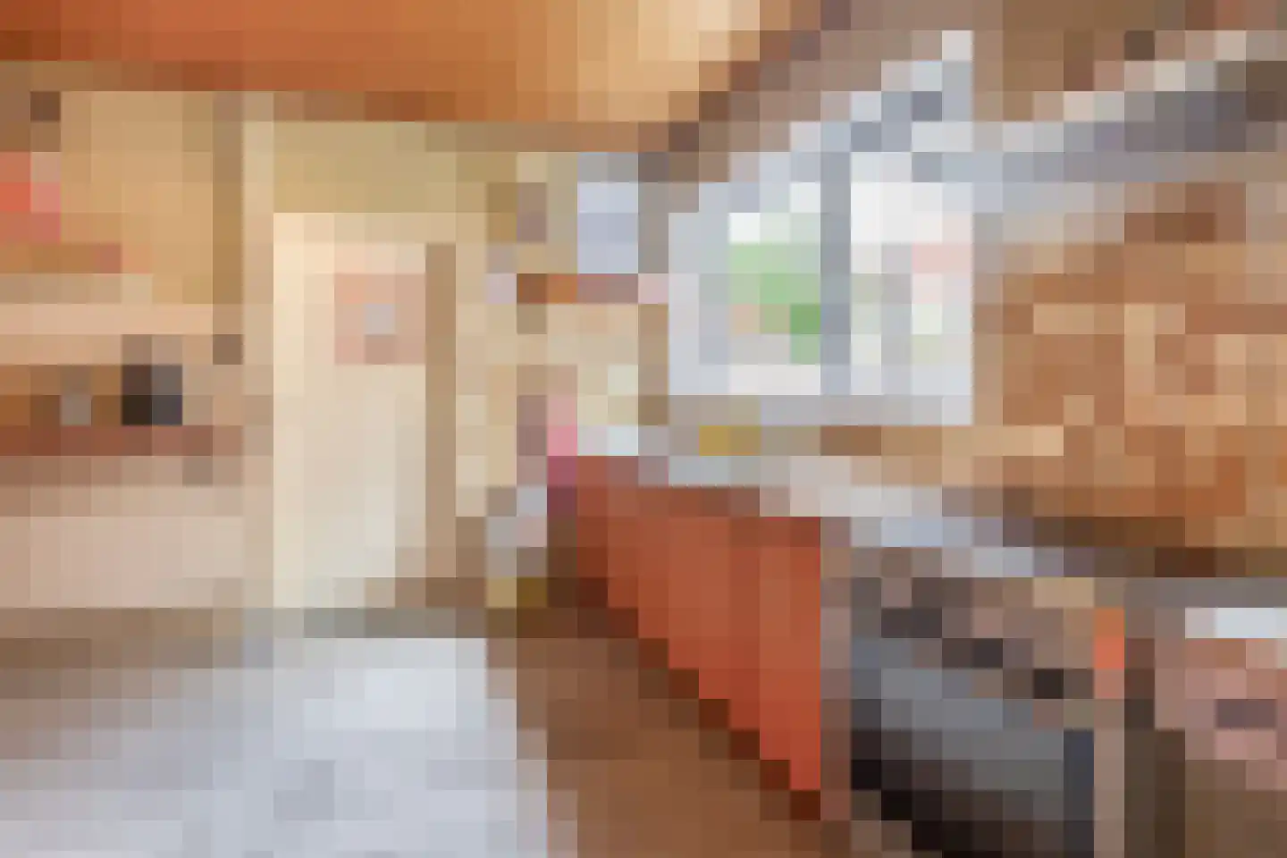 Koningstraat 19 Tegelen thumbnail 7