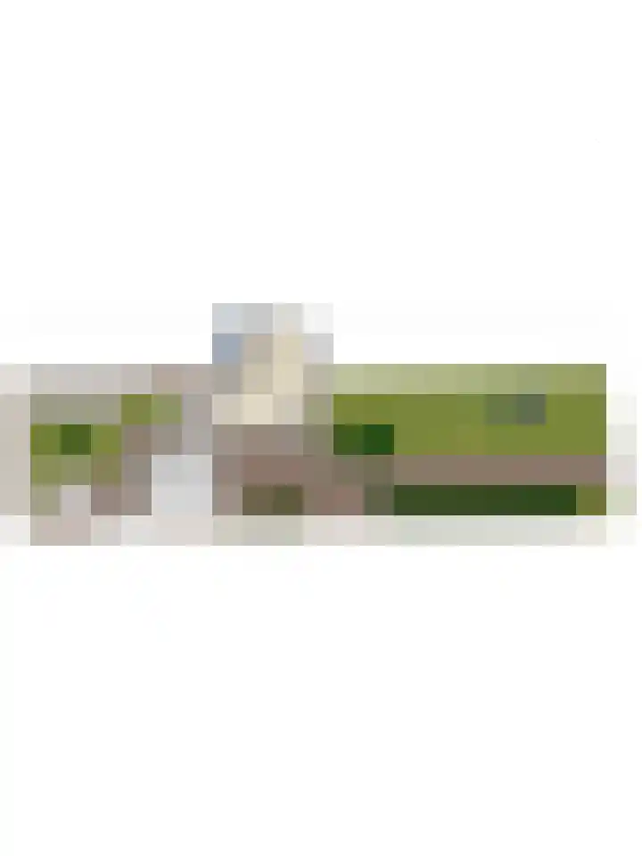 Koningstraat 20 Beuningen Gld thumbnail 56