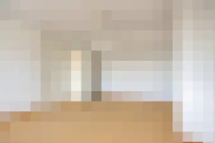 Koningstraat 21 Dordrecht thumbnail 33