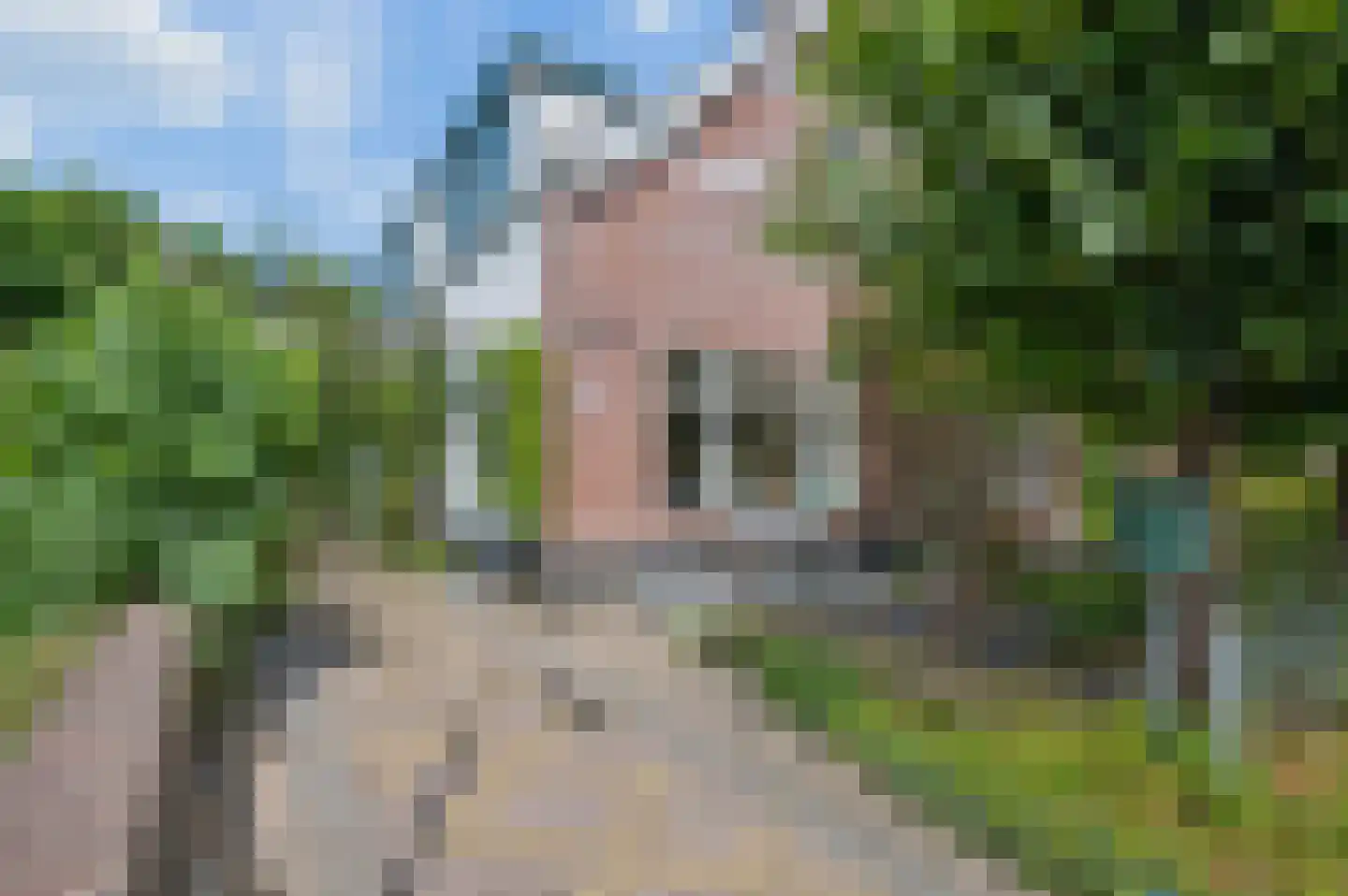 Koningstraat 26 in Velp