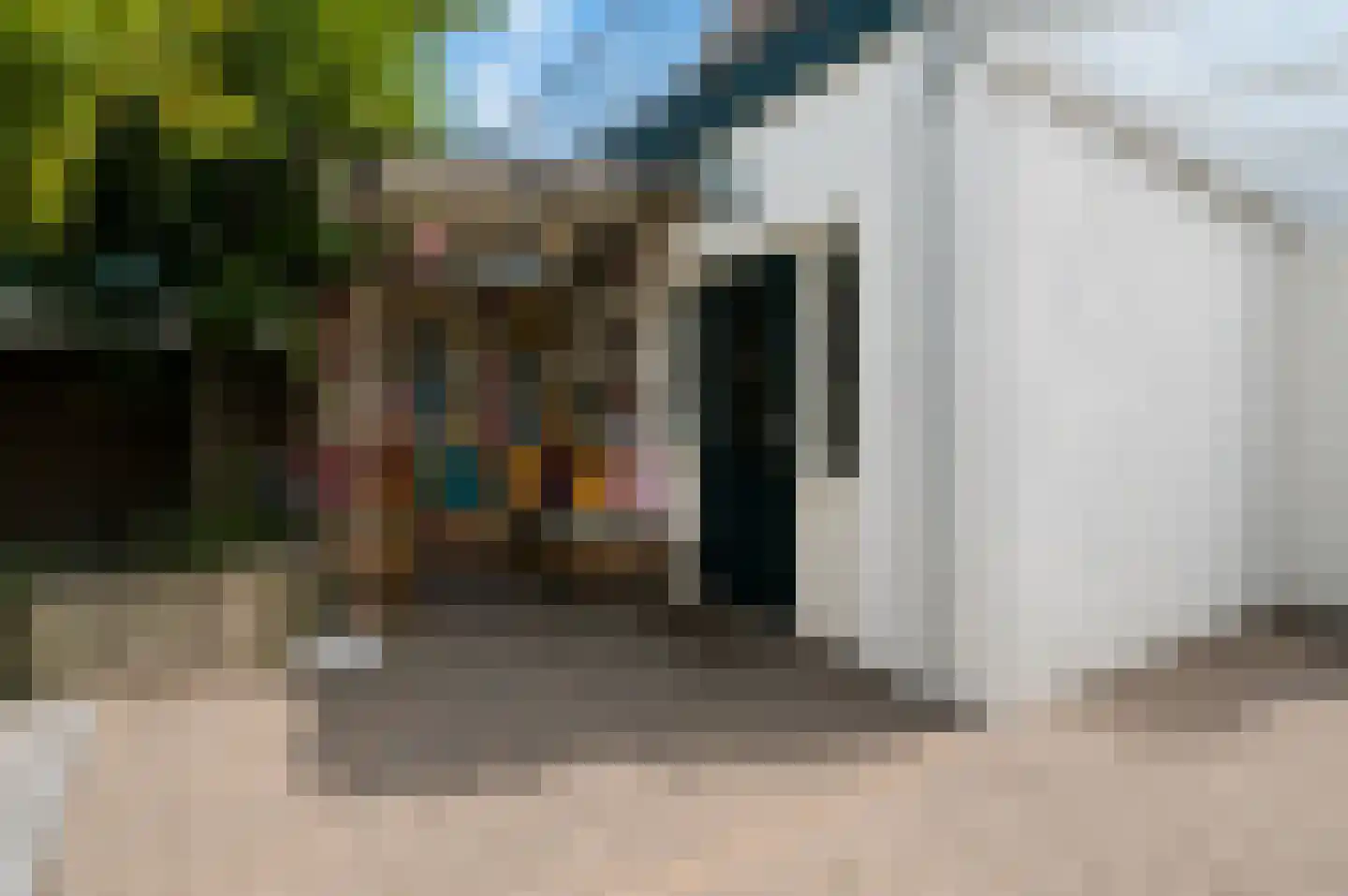 Koningstraat 26 Velp thumbnail 16