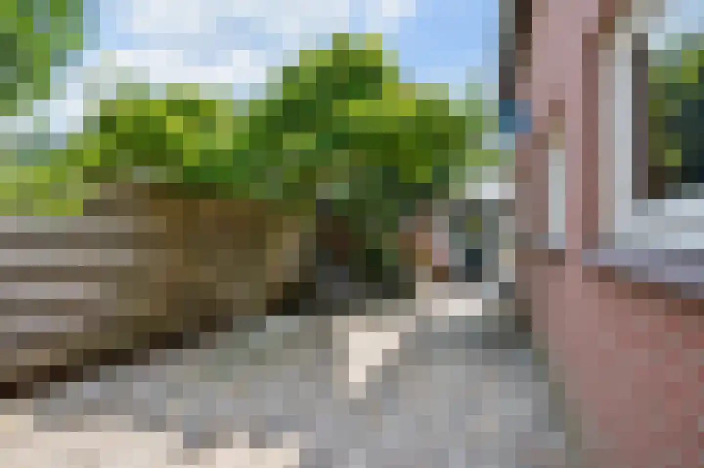 Koningstraat 26 Velp thumbnail 18