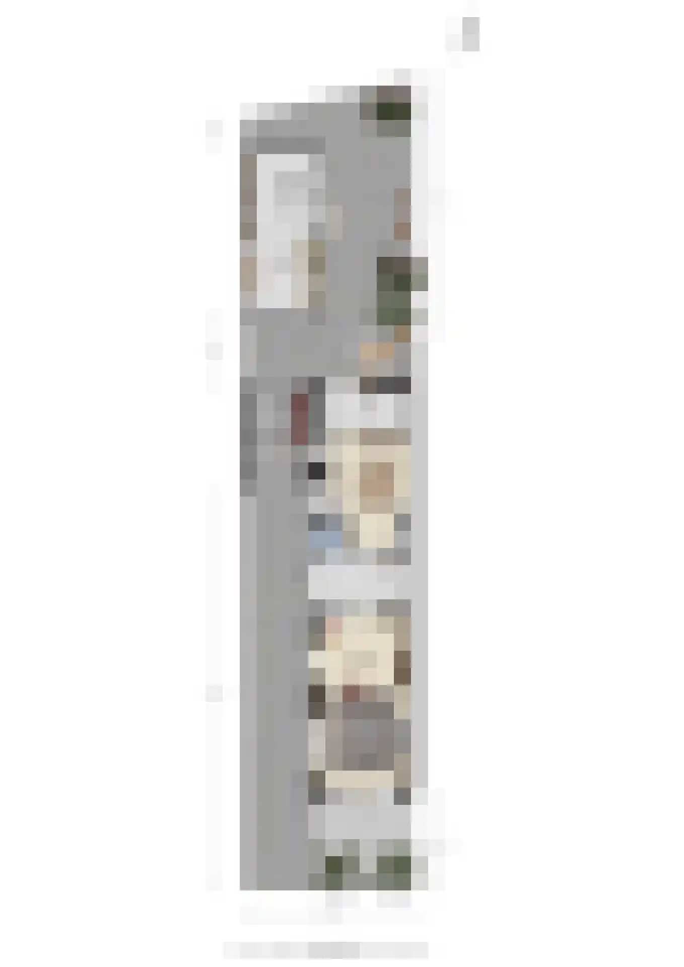 Koningstraat 26 Velp thumbnail 47