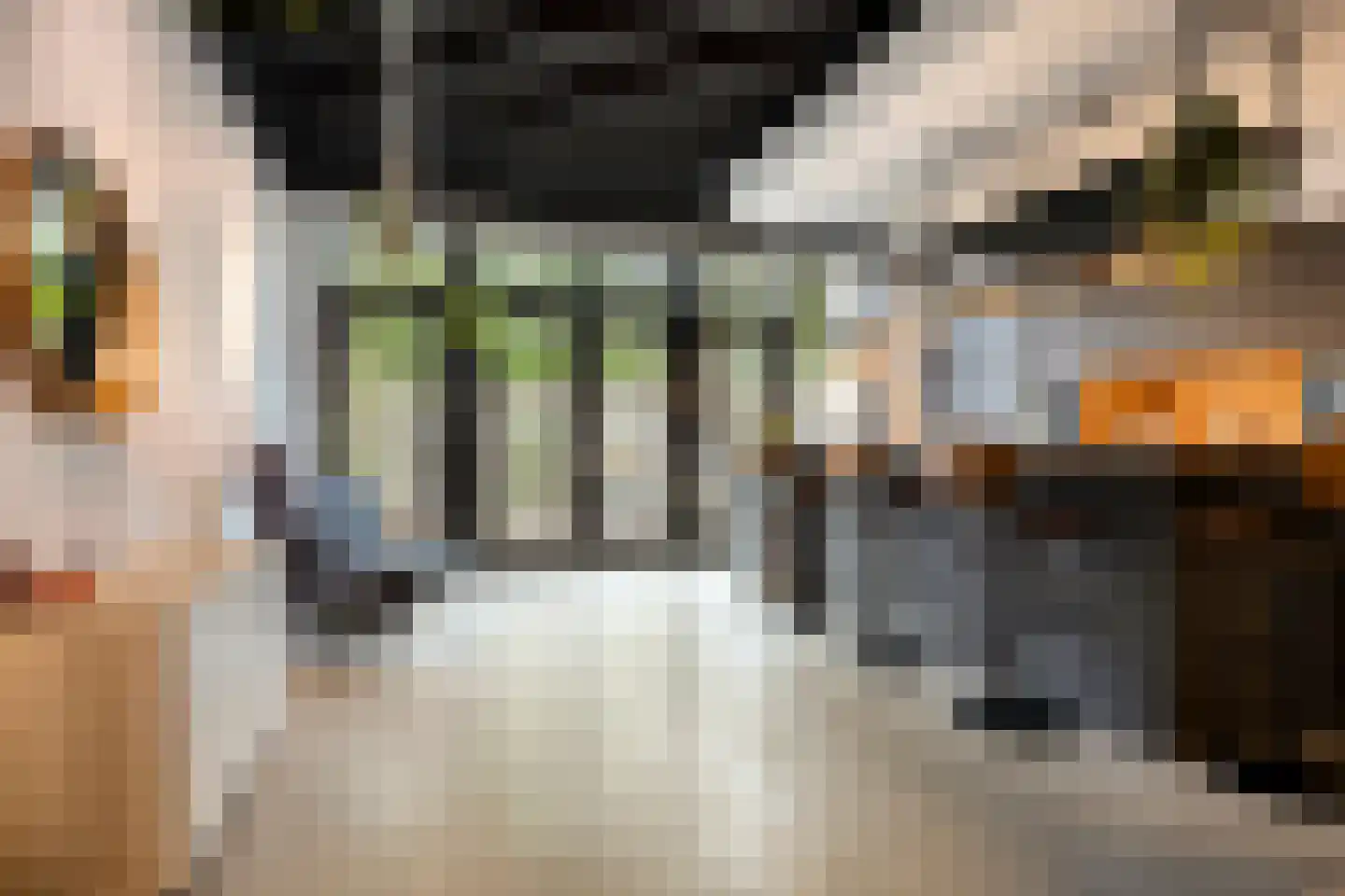 Koningstraat 28 Zaltbommel thumbnail 13