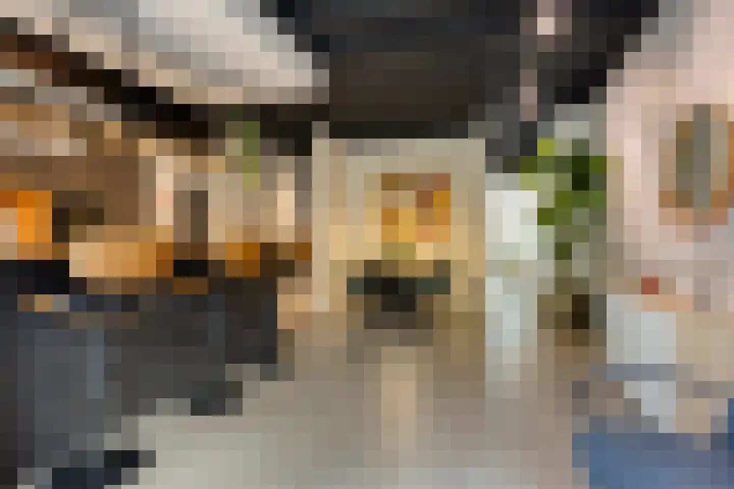 Koningstraat 28 Zaltbommel thumbnail 15