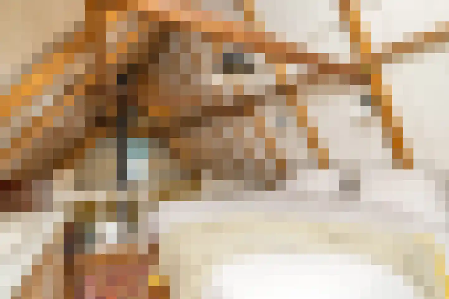 Koningstraat 29 Hippolytushoef thumbnail 25
