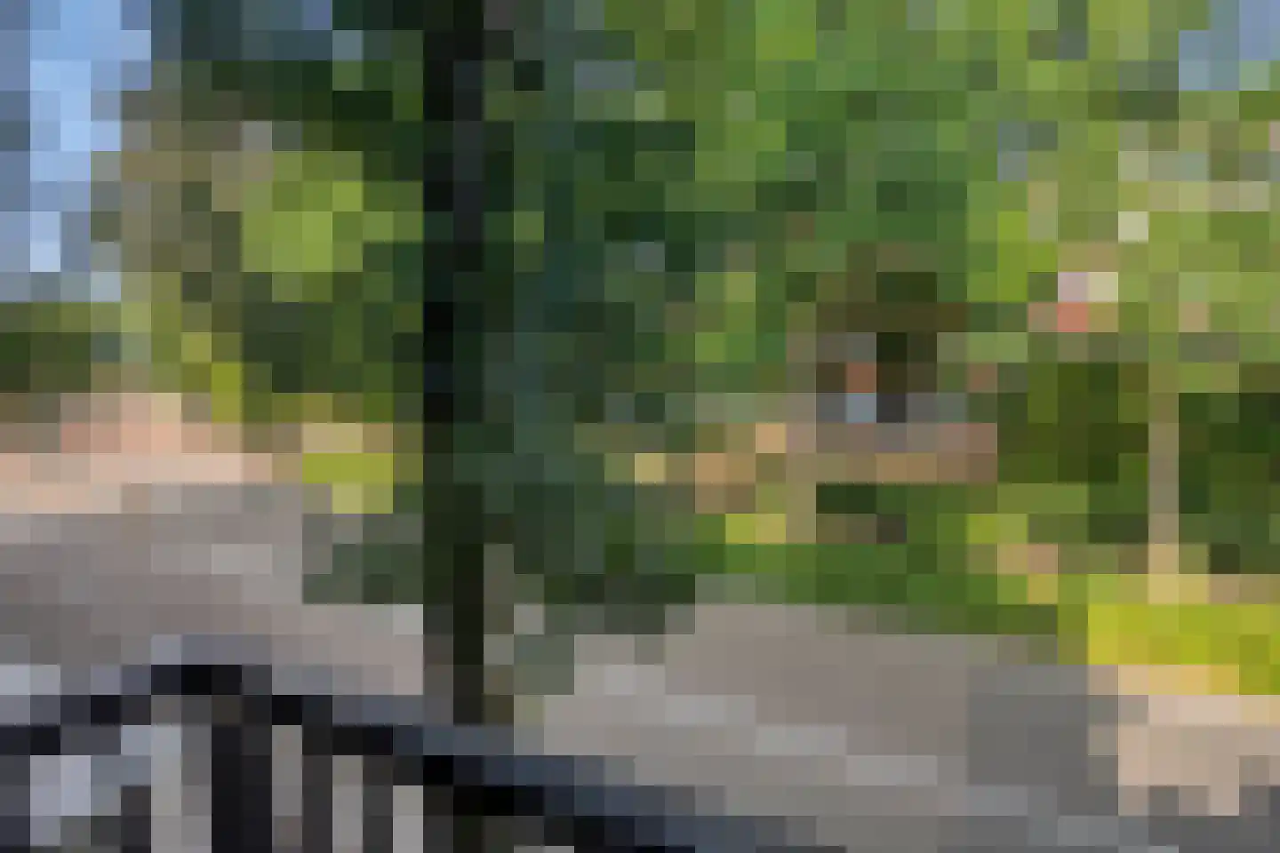 Koningstraat 3 A Beverwijk thumbnail 18