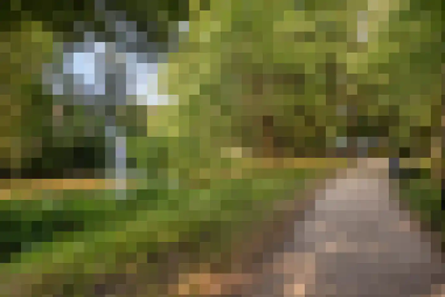 Koningstraat 3 A Beverwijk thumbnail 24