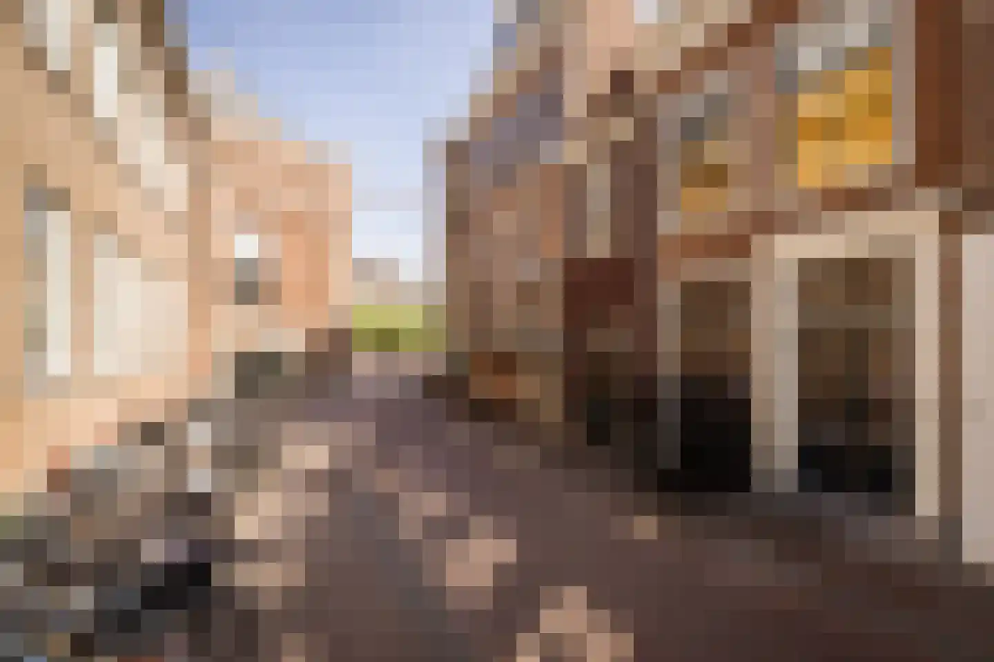 Koningstraat 3 C Haarlem thumbnail 46