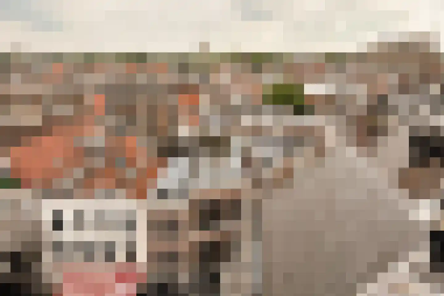 Koningstraat 3 C Haarlem thumbnail 47