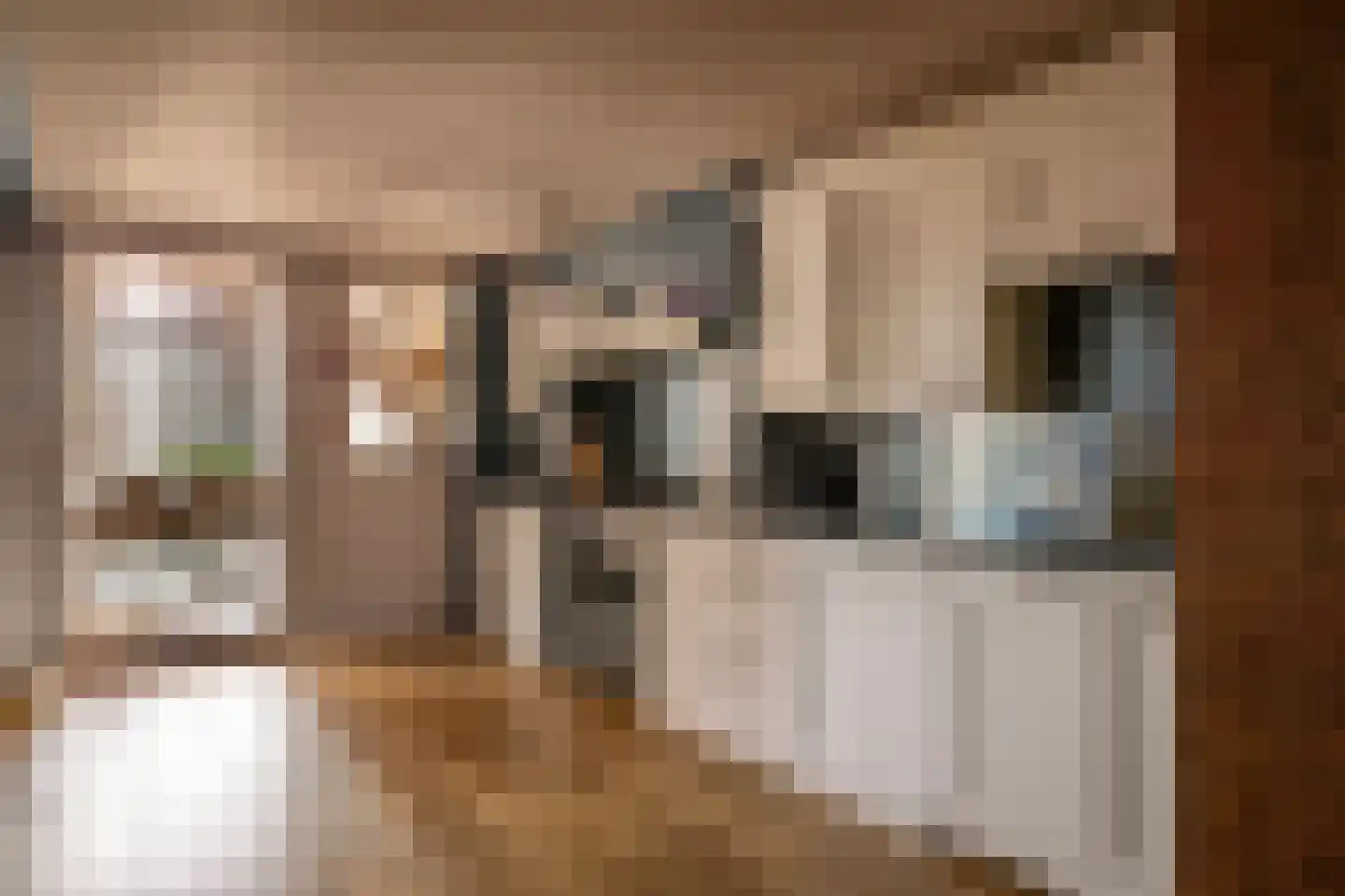 Koningstraat 3 C Haarlem thumbnail 9