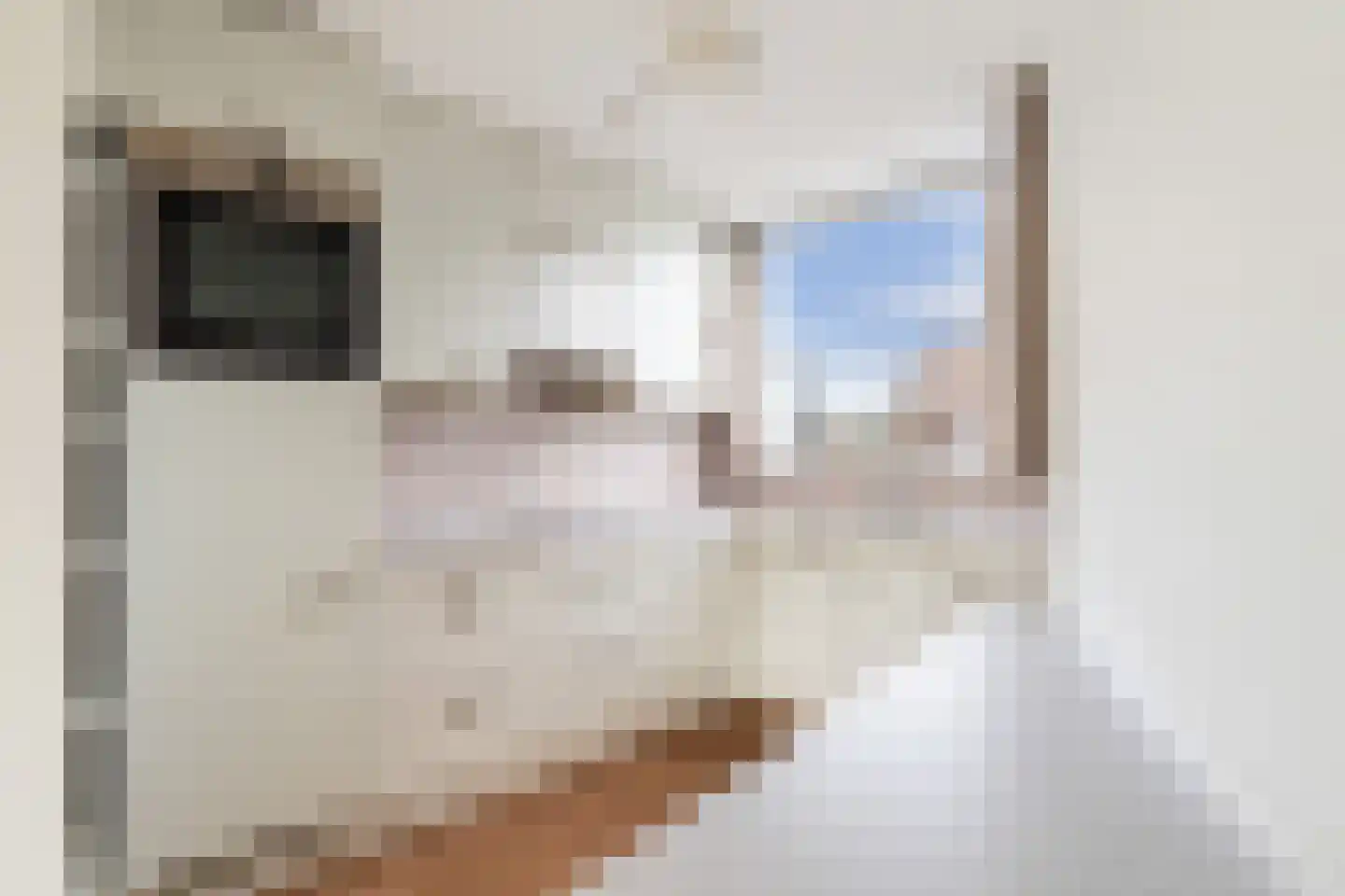 Koningstraat 30 ap19 Naaldwijk thumbnail 7