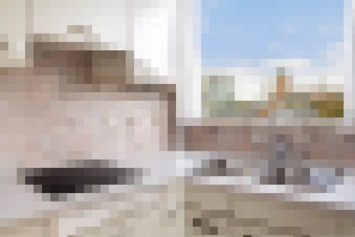 Koningstraat 30 ap19 Naaldwijk thumbnail 8